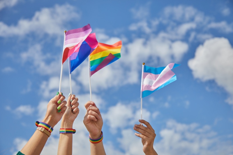 Hands holding pride flags in the air. The background is a blue sky with some clouds. The flags include lesbian, bisexual, transgender, and LGBTQ pride.